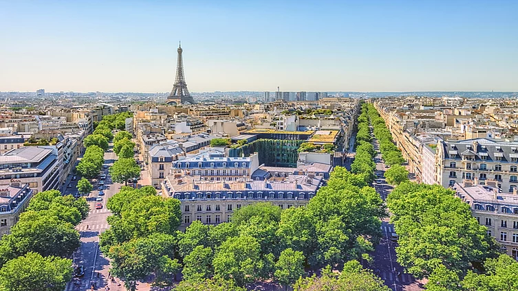 Paris im Sommer: der Eiffelturm umgeben von vielen grünen Bäumen