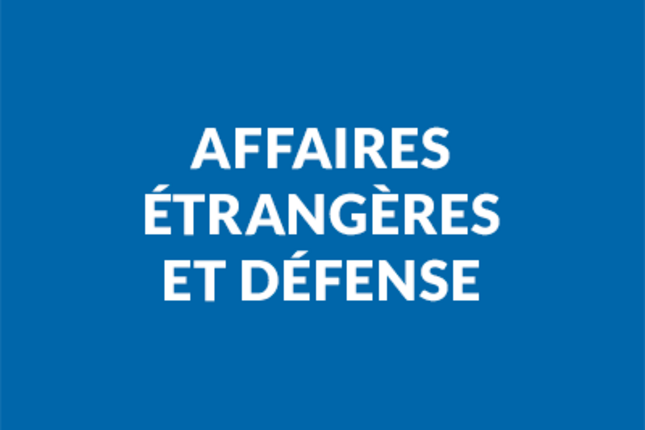 Affaires étrangères et Défense