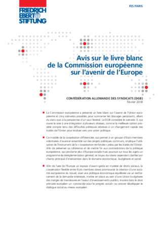 Avis sur le livre blanc de la Commission européenne sur l'avenir de l'Europe